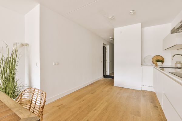 Laminate Floor Scratch Repair in Albany